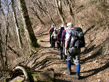 初冬の天城山縦走路を行く